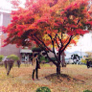 Meet your Posher, Jee